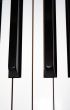 close-up of piano keyboard