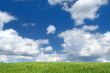 field with cumulus clouds