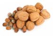 group of walnuts and hazelnuts