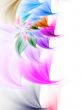 Fractal Abstract Background - Petal Border