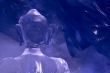 Ice figure. Head
