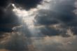 Rays
