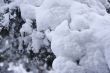 snow days