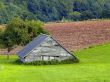 old barn