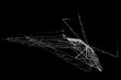 insect world