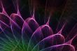 plasma points