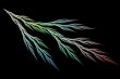 plant life