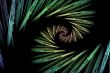 falling spirals