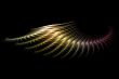 fractal wing