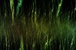 Green drizzle
