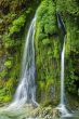 Salmon Creek Falls, Oregon