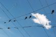 Overhead