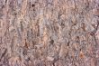 texture