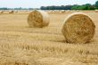 Haystacks