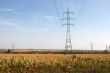 electricity