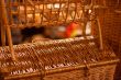 Baskets