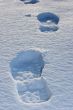 Footprint