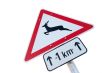 Deer warning