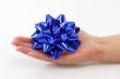 Blue Bow in Hand