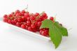 Red Currants with Leaf