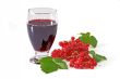 Black Currant Juice