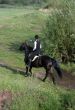 The girl on a horse.