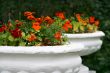 Bright flowers.
