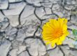 A splash of hope