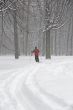 Man skiing in a fresh snow
