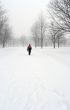 Man walking on a snowy path