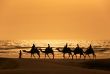 A silhoutte of a dromedary and Tourists