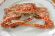 Cooked crab