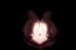 Holding the light