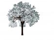 The money tree