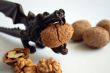 nutcracker with walnuts