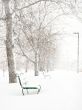 Winter wonderland