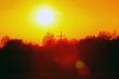 yellow sky