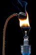 burning poppyhead