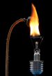burning poppyhead