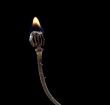 burning poppyhead