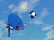 3D basketball