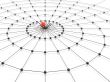 spider and web