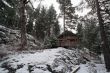 wooden cottage in the forest