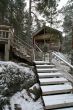wooden cottage in the forest