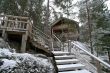 wooden cottage in the forest