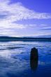 Water and Ice