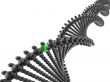 3D DNA model