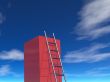 ladder to success