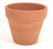Terra Cotta Flowerpot