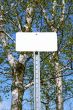 Sign with copy space in spring forest